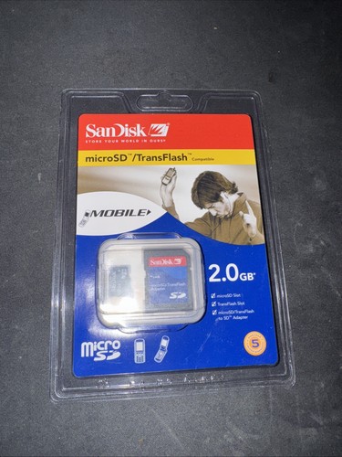 Vintage sandisk 2gb - vintage,