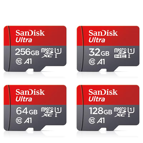 Scheda memoria sandisk 256 - scheda,