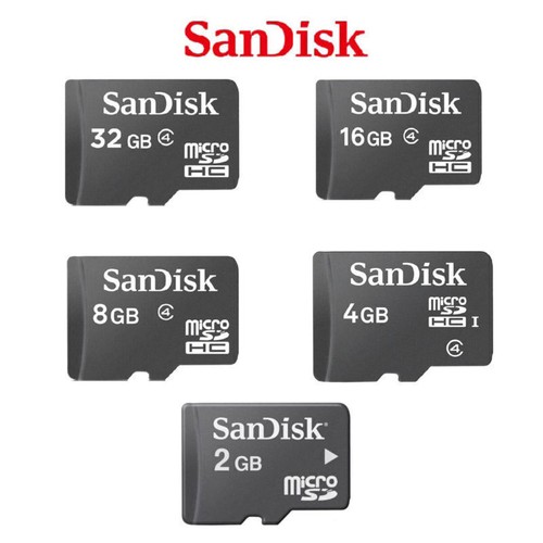 Scheda memoria sandisk gb - di,