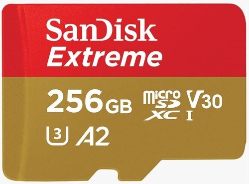 Scheda sandisk 256gb - scheda, sd